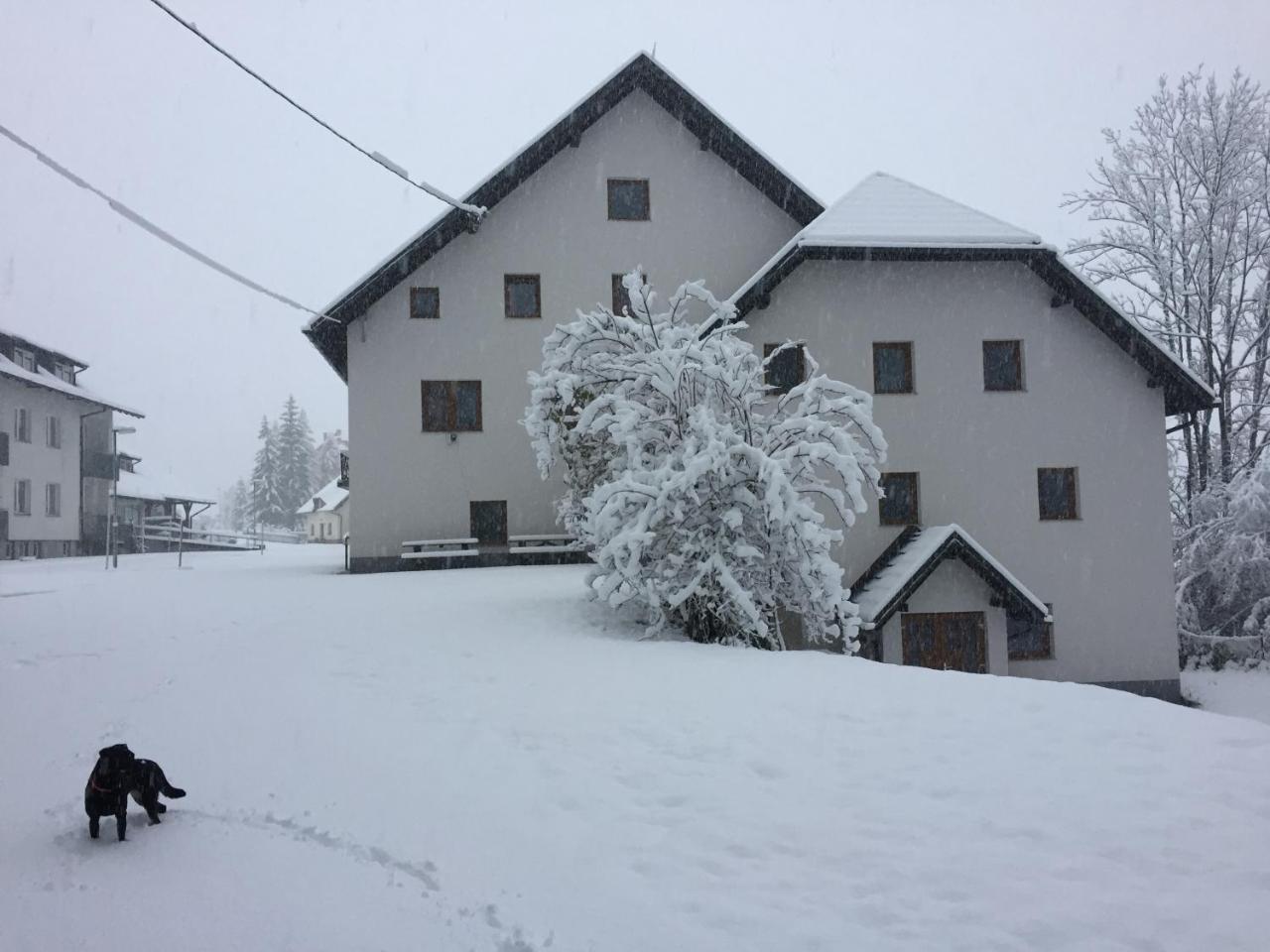 Youth Hostel Nika Краньска Гора Экстерьер фото